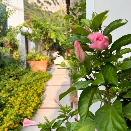 Il Cigno Bed & Breakfast