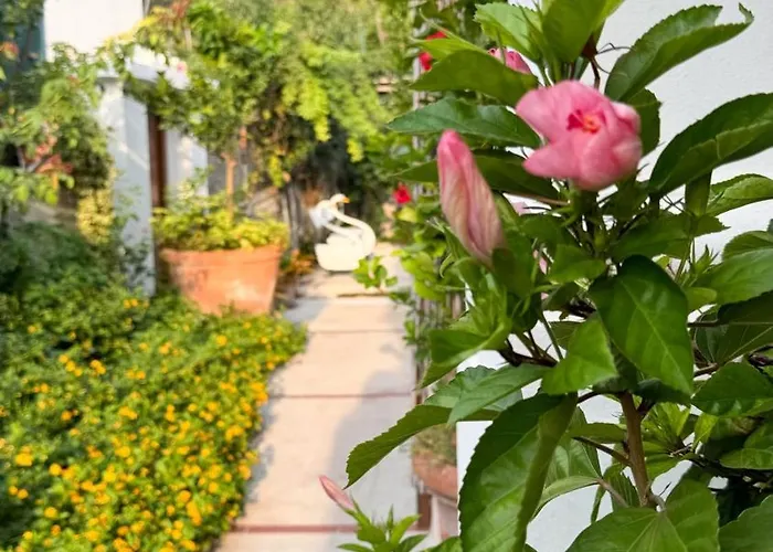 Il Cigno Bed & Breakfast