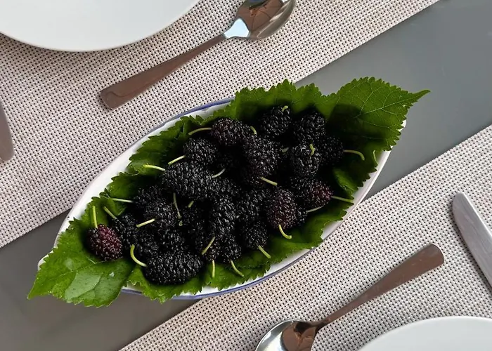 Il Cigno Bed & Breakfast Capri