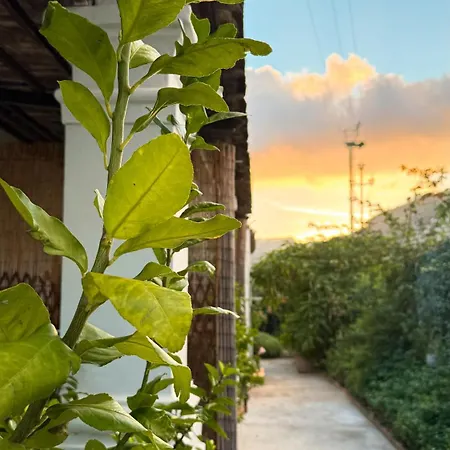 Il Cigno Alojamento de Acomodação e Pequeno-almoço Capri