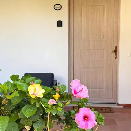 Il Cigno Bed & Breakfast Capri