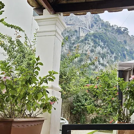 Il Cigno * Capri