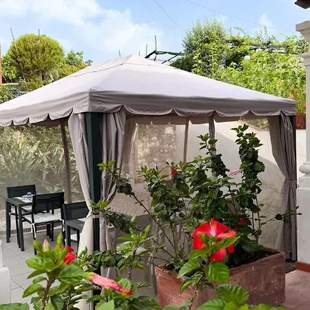 Il Cigno Bed & Breakfast