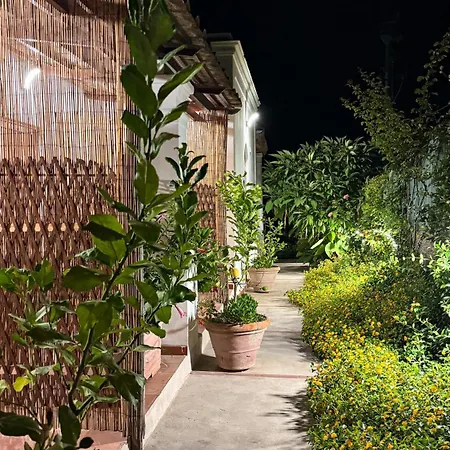 Il Cigno Bed & Breakfast