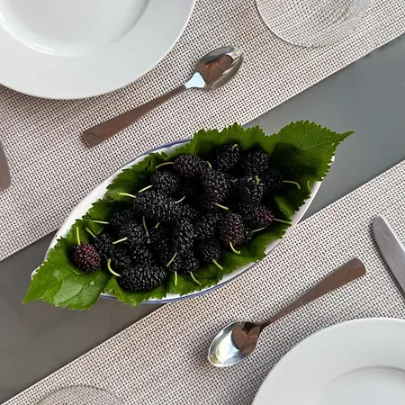 Il Cigno Alojamento de Acomodação e Pequeno-almoço Capri