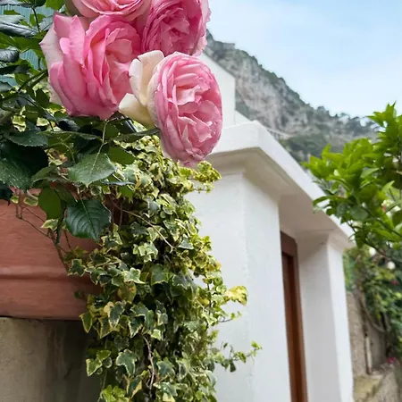 Bed & Breakfast Il Cigno Capri