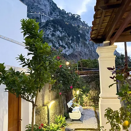 Il Cigno *