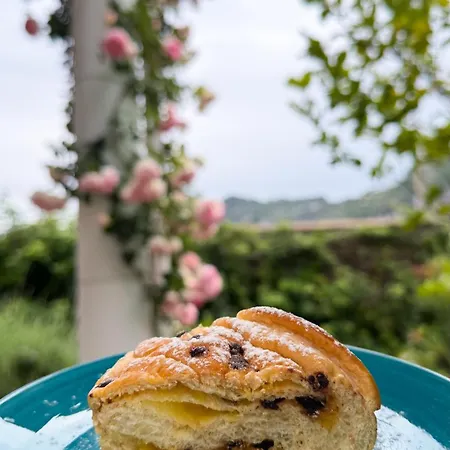 Alojamento de Acomodação e Pequeno-almoço Il Cigno Capri