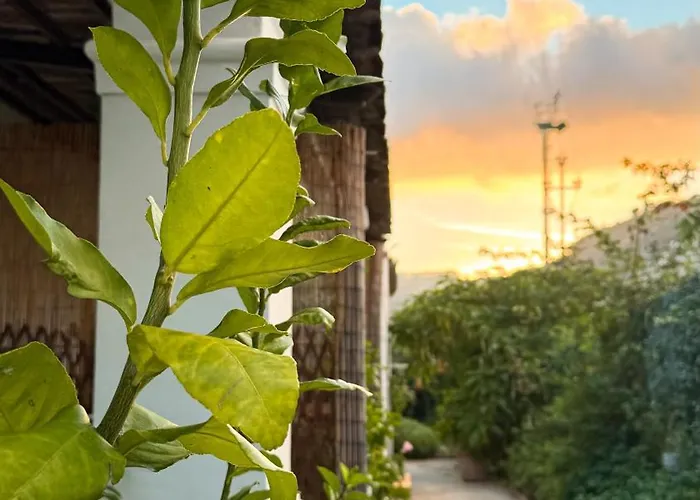 Il Cigno Bed and breakfast Capri