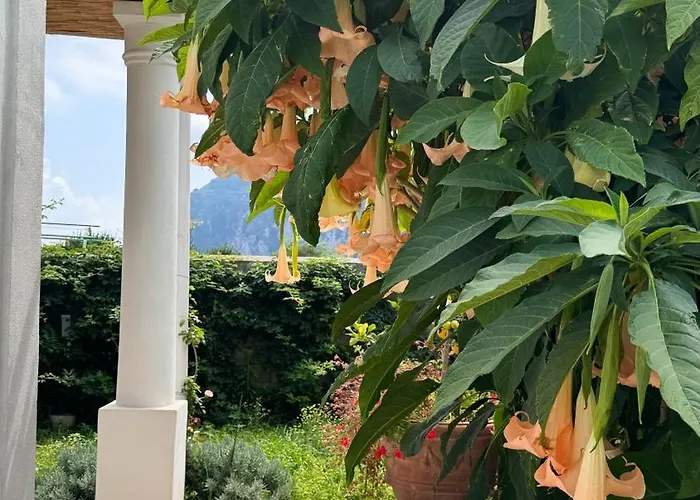 Il Cigno Bed and breakfast Capri