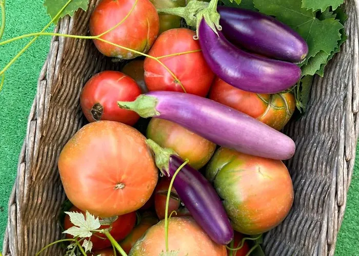 Il Cigno Panzió Capri